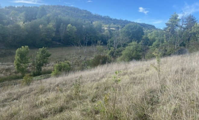 Beau terrain à Bâtir de 1600 m², avec vue dégagée à Fleurey-sur-Ouche, Dijon, ARYA Immobilier